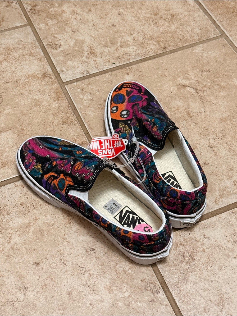 Vans x Quiksilver Slip-On Sneakers in Skull Print